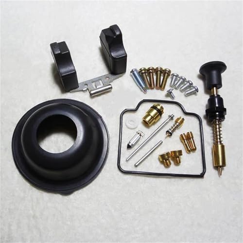 Kit réparation carburateur Suzuki DR200S avec flotteur pour moteur