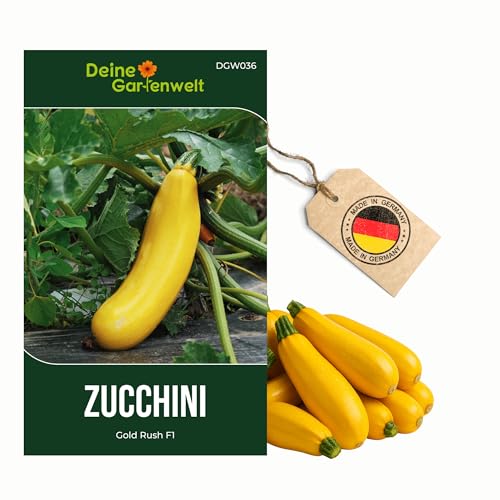 Zucchini Gold Rush F1 Samen - Cucurbita pepo - Zucchinisamen - Gemüsesamen - Saatgut für 7 Pflanzen