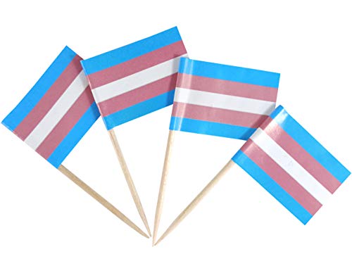 JBCD Banderas pequeñas para decoración de cupcakes LGBT (100 unidades)