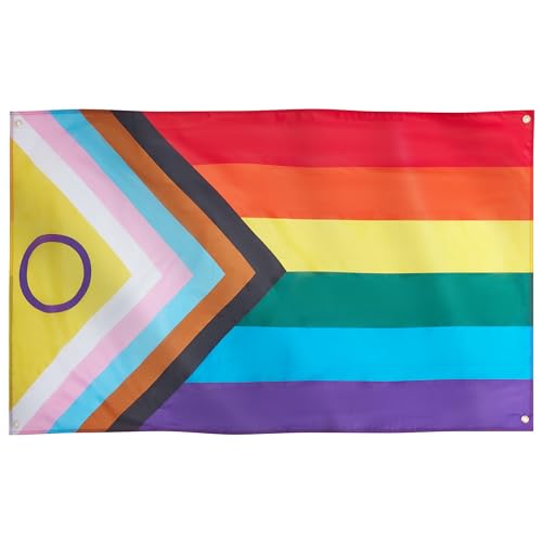 Runesol Progress Pride Flag 3x5, 91x152cm, LGBTQ+ Intersex Rainbow, 4 Grommets, Brass Eyelet in Every Corner, Parade