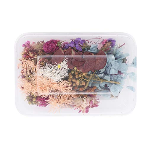 Gonetre Kit de Flores Secas para Manualidades miniatura 6