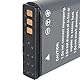 DSTE 2-Pack Ersatz Batterie Akku Kompatibel für EN-EL23 und Coolpix P600, P610, P610s, P900, P900s, S810c, B700 Digital Kamera
