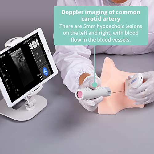 Image of Ultrasound Guided Thyroid Puncture Phantom Thyroid biopsy Puncture Practice Training, Cell biopsy, Focus radiofrequency Ablation Practice, Training Teaching Demonstration