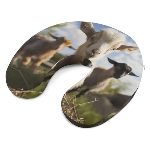 Almohada cervical espuma viscoelástica tamaño único miniatura 6