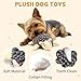 VOXGET Dog Squeaky Toys for Puppy Play, Interactive Plush Crinkle Toys for Small Medium Dogs Keep Busy, Cute Soft Stuffed Animal Toy for Puppies Reduce Boredom, Not for Aggressive Chewers (Hedgehogz)