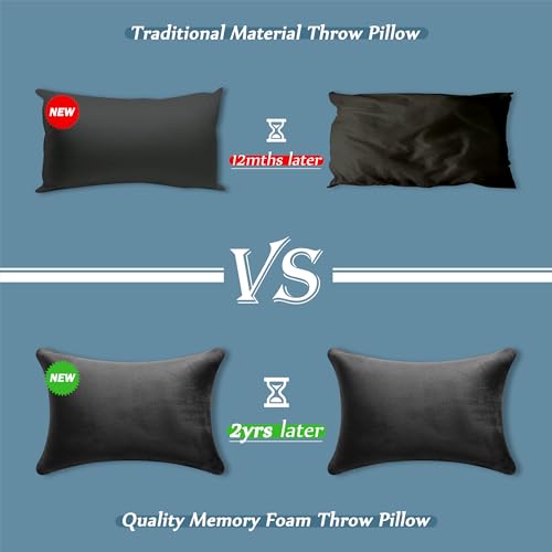 Image of AM AEROMAX 12 x 20 Pillow Insert (Pack of 2) Memory Foam Lumbar Support Throw Pillow Sham Rectangular for Decorative Cushion Bed Couch Sofa Without Deform After Longtime Use(Black)