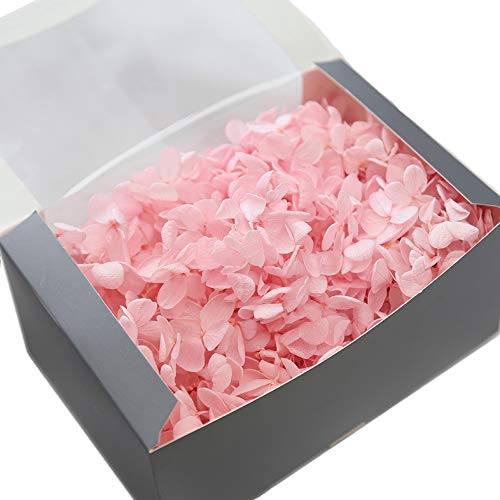 JWShang 1 Box 6 Köpfe konservierte Rosen Dekoration Konserviert Blumen Geschenk DIY handgefertigt Rohstoffe Geschenk für Valentinstag Muttertag Weihnachten Jahrestag Geburtstag Thanksgiving Mädchen Cover
