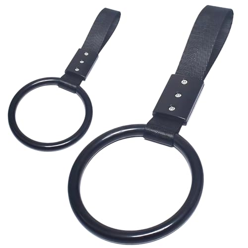 DIZLAS 吊革 吊り輪 ラクラク 持手 手すり 立ち上がり 補助 介護 介助 車用 セーフティ ハンドル グリップ (ブラック 2本)