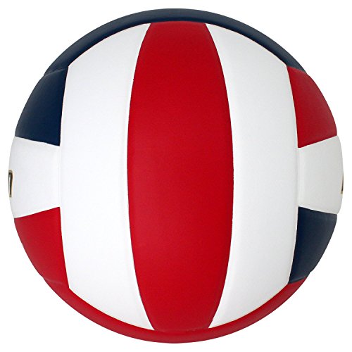 Image of Baden | Perfection | Premium Leather | Indoor Official Game Volleyball | 13U to College | Official Size + Weight | NFHS + AVCA Approved