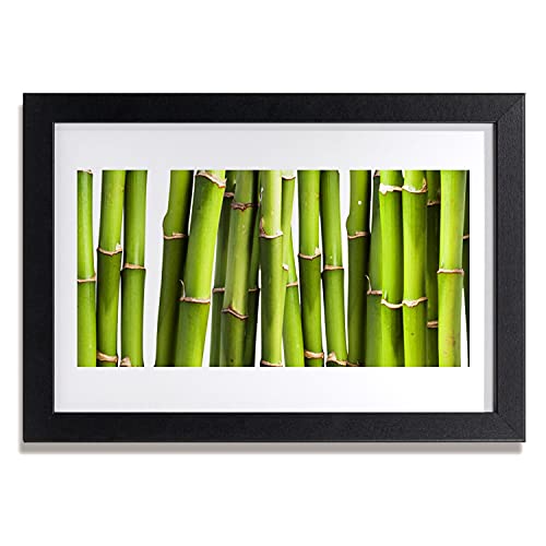 Affiche encadrée 30x20 cm bambou sauvage sous cadre MDF pour decoration murale