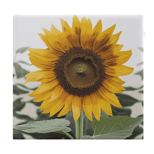 Coussin de sol de méditation pour soulager le dos assis en tailleur - 2