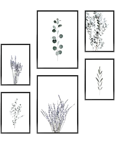 Heimlich Cuadros Decorativos - SIN Marcos -Decoración Colgante para Paredes de Sala, Dormitorios y Cocina - Arte Mural | 2 x A3 & 4 x A4-30x42 & 21x30 | » Eucalipto y Lavanda «