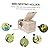 TOGEVAL Wooden Bird Parrot Holder Small Nesting Box with Clear View Window Wind Resistant Bird House for Songbirds Finches Breeding Organizer for Outdoor Observation