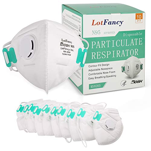 Lotfancy Niosh N95 Mask, 10Pcs Particulate Respirator With Breathing Valve, N95 Face Mask For Construction, Cleaning, Disposable Air Filter Masks Against Dust, Pollution, Particle, Smoke,White #TOP22