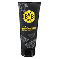 Borussia Dortmund BVB 09