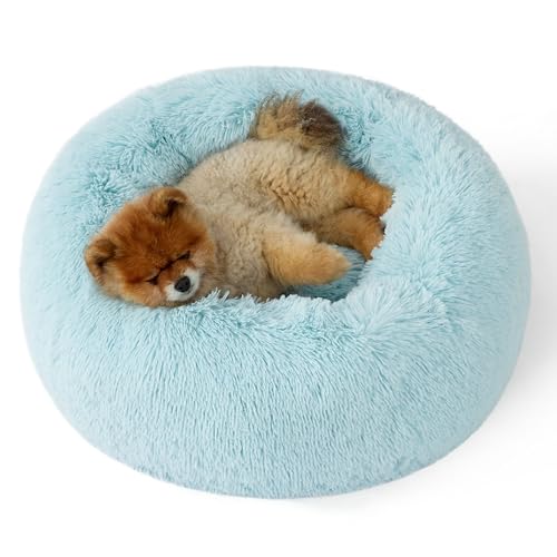 Bedsure Calming Donut Dog Bed for Small Dogs, 23 in, Aqua Blue