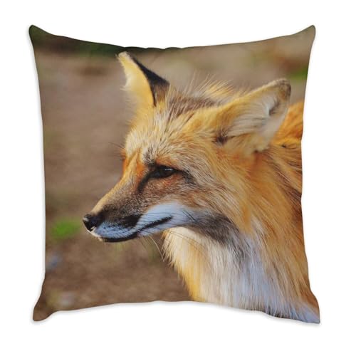 Image of Fabulous Wild Life Animal Beauty Red Fox Velvet Cushion 40 x 40 cm Velvet Feel White with Cover and Cushion Included