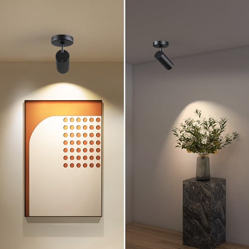 Image of 12W LED Ceiling Spotlight Indoor - Adjustable Surface Accent Lamp for Corridor, Living Room, Warm White 3000K, CRI 97, Anti-Glare Picture Christmas Tree Monopoint Spot Light, Black