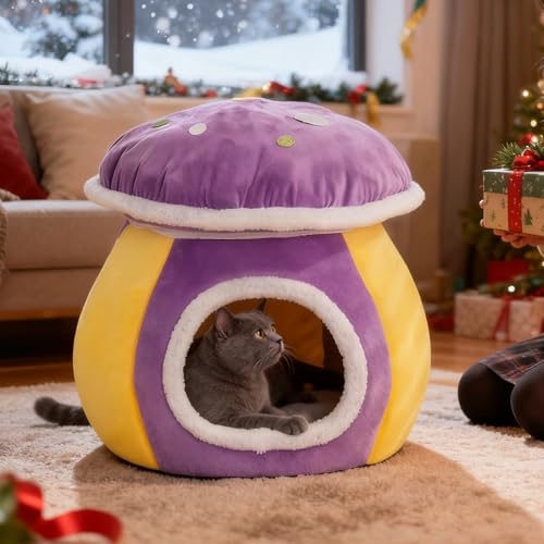 Maisons pour chat d'intérieur, offrez un nid douillet