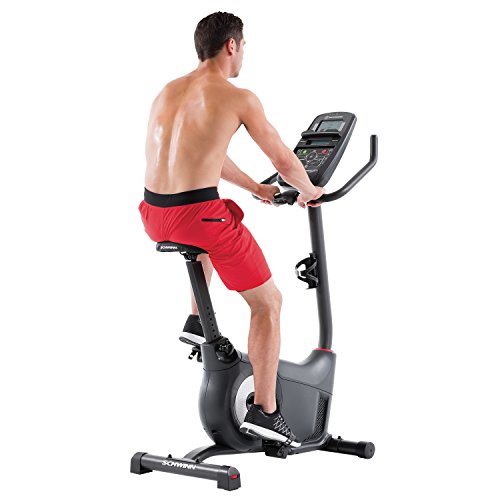 Schwinn Fitness 130 Upright Bike (Discontinued) #TOP2