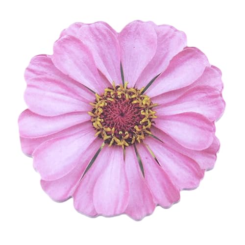 25V[g̉Ԃ̌`fUCXeBbNm[gpbhI[gX^bLOpbhXeBbNm[gS^Ԃ̃fUC