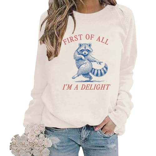 DIOMMELL Im A Delight Sweatshirt Funny Raccoon Sweatshirt For Women