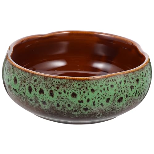 Transform Your Space with the SHINEOFI Hydroponic Ceramic Fl