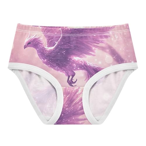 Purple Galaxy Phoenix Toddler Girls's Underwear 2T 202c0355