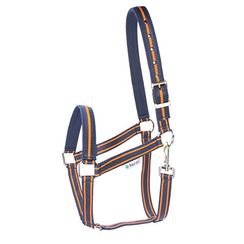 Bucas Licol Dublin COB nylon rembourré bleu marine orange cheval