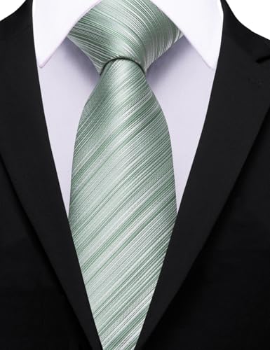 Image of Barry.Wang Silk Men Ties Formal Stripes Necktie and Tie Clip for Wedding Party Business Fashion Classic