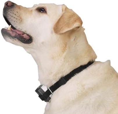 Bark Collar [2018 Smart Chip] Dog Shock Anti-Barking Collar with Beep, Vibration and Harmless Shock. No Bark Control for Small/Medium/Large Dogs with 7 Sensitivity Levels, Rechargeable and Rainproof