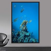 Framed Canvas Wall Art Fish Bedroom Colorful Jellyfish Marine Life Multicolor Neon Photography Tropical - 16x24 inches