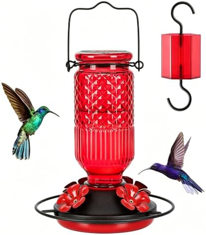 FEED GARDEN Glass Hummingbird Feeder for Outdoors Hanging, 16 oz ...