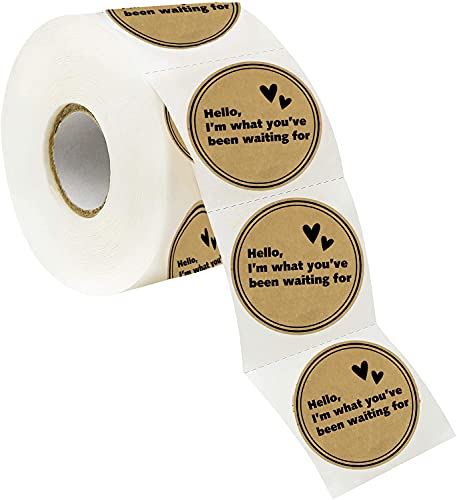 Happy Mail Stickers,I'm What You've Been Waiting For,Small Business Labels,Packaging Envelope Seals,Postage Tags,Shopping Labels For For Small Business Boutique Bags & Merchandise Bags 2 Inch,500 Pcs #TOP6