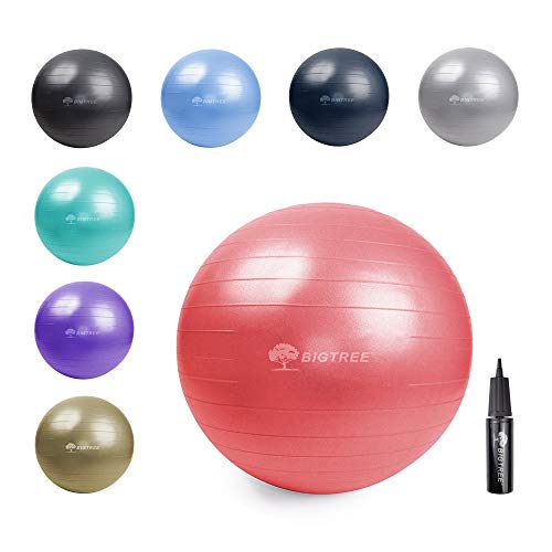 Bigtree Exercise Ball Extra Thick Yoga Ball Chair, Anti-Burst Heavy Duty Stability Ball