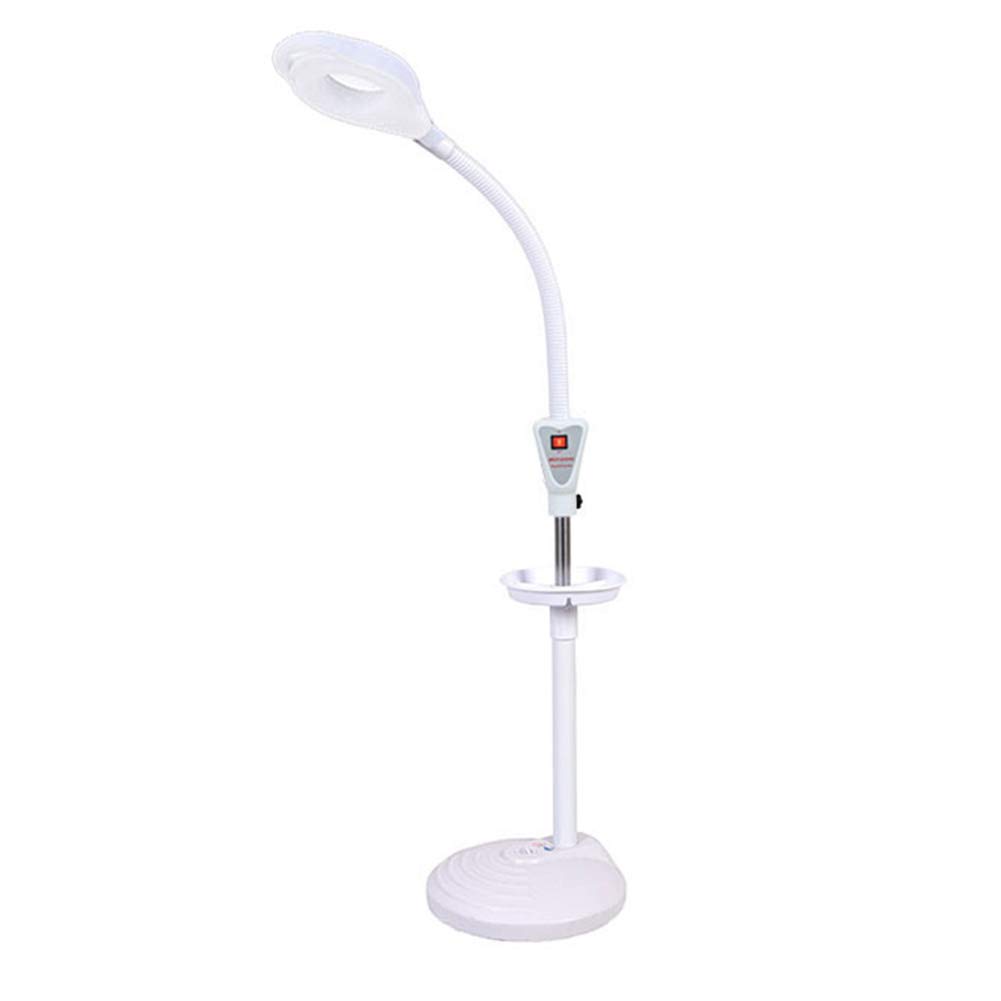 La Lumière Froide 16 Fois Grossissement Lampadaire Salon de Beauté Led Lampe de Beauté Tatouage Beauté Sourcils Cils Sourcil Éclairage Dentaire Avec Support de Plancher Roulant