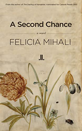 A Second Chance view 2