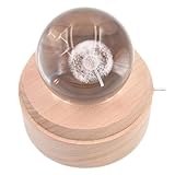 Cadeau exquis pour diverses occasions : la veilleuse pissenlit enveloppée dans un joli coffret cadeau jaune est un excellent cadeau pour toute occasion, comme les anniversaires, les fêtes, la Saint-Valentin, Noël, Thanksgiving, la fête des mères, l'obtention d'un diplôme ou toute autre occasion spéciale. Montrez-leur votre amour imparable avec ce coffret cadeau.