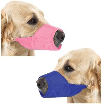 pink muzzle on dog