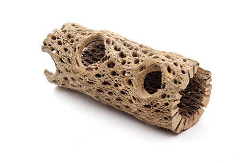 My Pet Patrol 3 to 48 Inch All Natural Teddy Bear Cholla Wood Extra Hollow Large Untreated Organic...