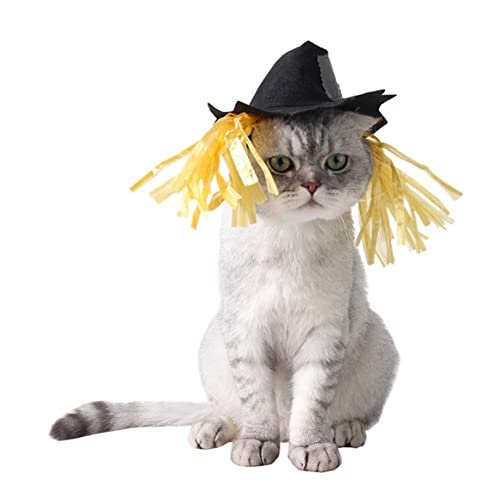 Disfraz Sombrero Espantapájaros Halloween para Perro