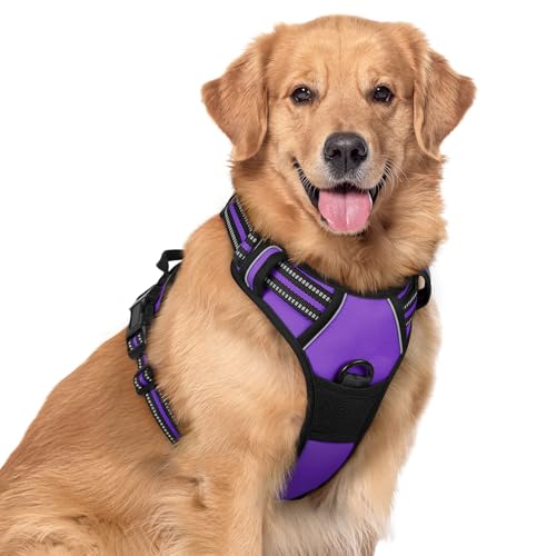 Image of rabbitgoo Dog Harness No Pull with 2 Leash Clips, Adjustable Soft Padded, Reflective Oxford No Choke Pet Vest with Easy Control Handle for Large Dogs, Purple, XL