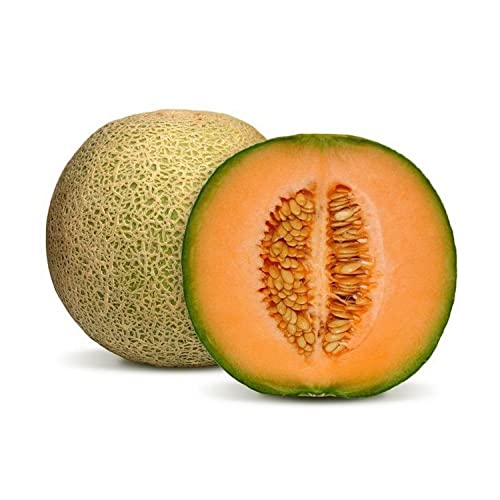 Rock Melon Oman 2 kg Approx.