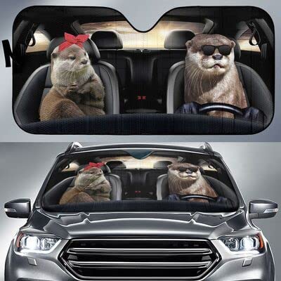 Pare-brise voiture pliable anti volant brûlant pare-soleil intérieur taille M universel