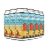 Buy Adnams Refreshing Dry Hopped Lager 440ml Cans Today – Adnams