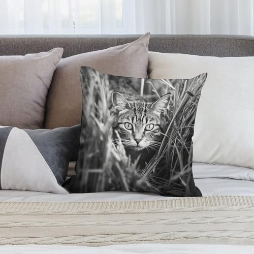 Coussin décoratif chat sur l'herbe pour un salon printanier