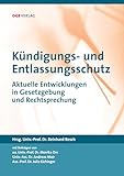  Kündigungs- und Entlassungsschutz: Aktuelle Entwicklungen in Gesetzgebung und Rechtsprechung