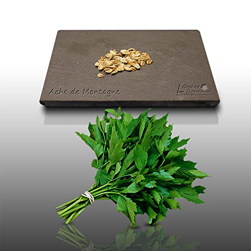 50 graines d'Aromatiques à semer - Le Grenier d'Abondance - ACHE De Montagne - Levisticum officinale