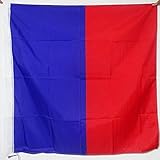 AZ FLAG - Flagge Paris Ohne Wappen - 90x90 cm - Paris Fahne 90 x 90 cm Scheide Für Mast - Flaggen