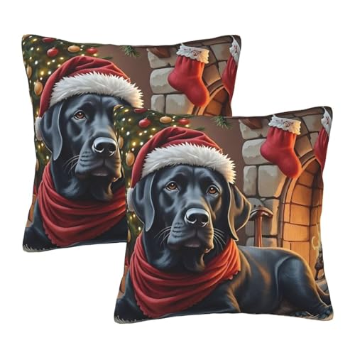 Wynrib NX}Xuh[ X[s[ Jo[ 2Zbg vbV Jo[  BWbp[ \tg XNGA NbV Jo[ z[ JE` \t@[ peBI Qp JE`Ɂi22"x22" j